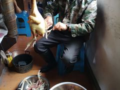 斗鸡、粥、鱼-卡拉农庄 正宗斗鸡肉