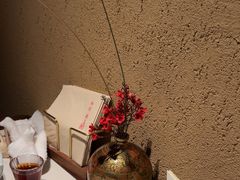 -觀芷隐轩