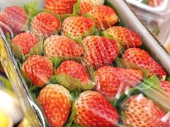 -新苗超市(花城店)