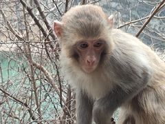 -白帝城·瞿塘峡景区