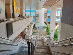 -香港大学