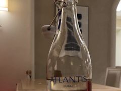 -亚特兰蒂斯水世界冒险乐园