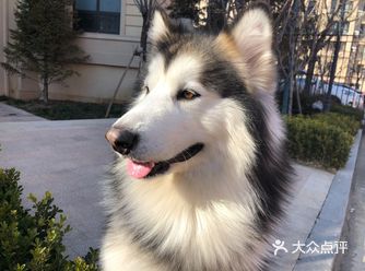 为伯爵做的最好的事，就是来到这家店