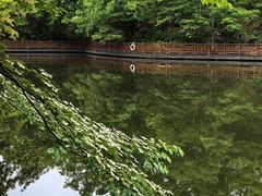 -洛阳白云山景区