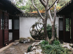 -艺圃