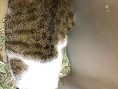 -万小咖.猫咖(中山路天虹店)