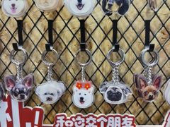 -和它·交个朋友·狗咖猫咖(爱琴海店)