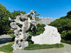-红梅公园