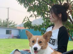 -趣玩宠物乐园寄养训犬训狗游泳池