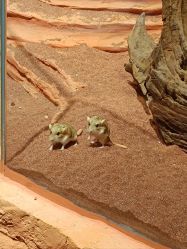 -Zoolung Zoolung动物主题公园(海信广场店)