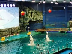 -威海华夏城景区