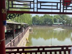 -尚庄度假村·庭台树下·户外烧烤·团建CS·轰趴营地(上庄水库店)