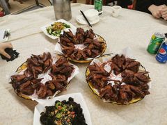 -百利鸽王(紫薇路店)