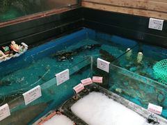 -中苑海韵