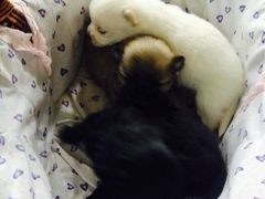 iphone_upload_pic-A+摄影
