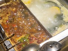 -蜀九鼎毛肚火锅(惠安店)