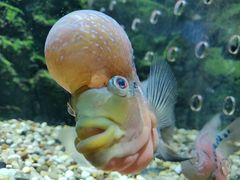 -石林冰雪海洋世界