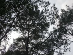 景点-清源山风景区