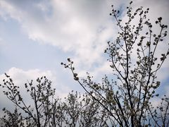 -樱桃山旅游景区