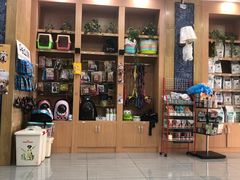 -瑞派名望志远动物医院·猫科·內科·异宠专科(直港大道店)