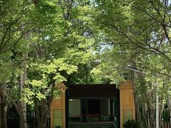 -艾提尕尔清真寺