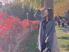 -北京张裕爱斐堡酒庄