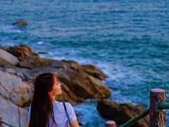 -广东惠东海龟国家级自然保护区
