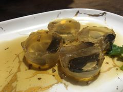 -邵子牙贡丸.鱼丸(鼓浪屿旗舰店)