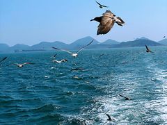 -海驴岛(荣成市)