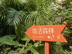 -咖法森林·咖啡  酒吧(天河店)