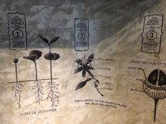 -星巴克臻选(湖滨道店)