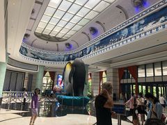 -帝企鹅自助餐厅•儿童岛•真企鹅(长隆企鹅酒店)