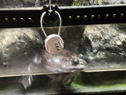 -未来动物城主题公园(正弘城店)