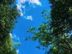 -宁波五龙潭景区