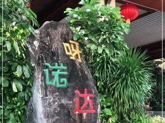-呀诺达热带雨林