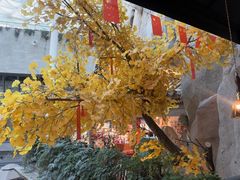 -阿大排档(长春这有山店)