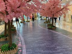 -上海颛桥万达广场