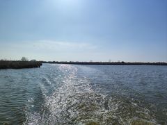 -宁波杭州湾国家湿地公园