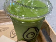 能量油梨果-油梨树AVOCADO TREE(嘉里中心店)