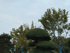 -佛慧山