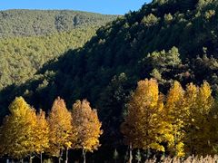 -泸沽湖国家级风景名胜区走婚桥