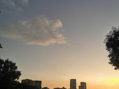 -红花山公园