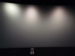 -耀莱成龙影城(东丽店)