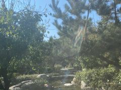 -思念果岭悦温泉