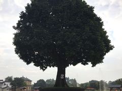 -广东圆玄道观