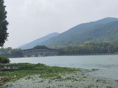 -长广溪湿地公园