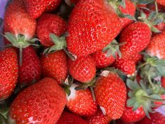 -南坛综合农贸市场