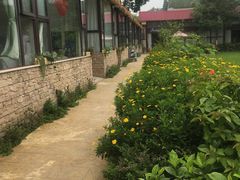 -洪湖家庭农场·团建·露营·会议