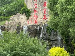 -秦皇岛野生动物园
