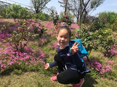 -南通洲际绿博园